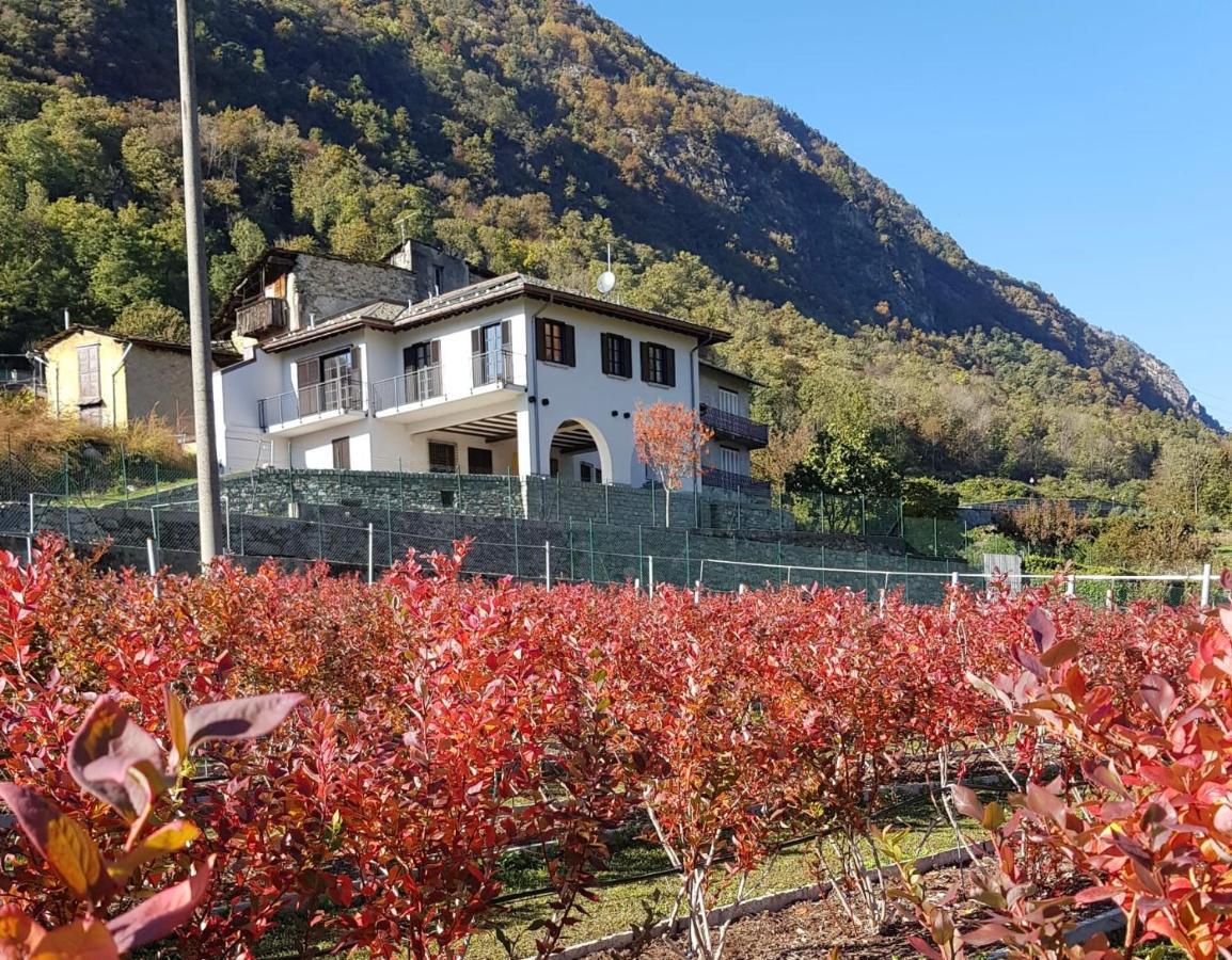 Guest House Le Cassandre Sondrio Exterior photo